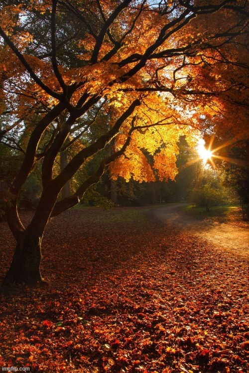 image tagged in awesome | made w/ Imgflip meme maker