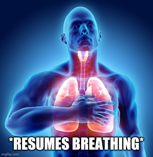 High Quality Resumes breathing Blank Meme Template