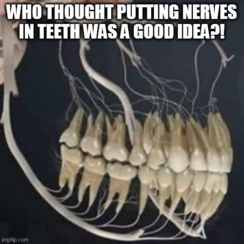 teeth | WHO THOUGHT PUTTING NERVES IN TEETH WAS A GOOD IDEA?! | image tagged in teeth | made w/ Imgflip meme maker