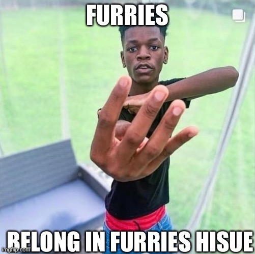 Furries | FURRIES; BELONG IN FURRIES HOUSE | image tagged in guy holding up 4,furries,memes | made w/ Imgflip meme maker