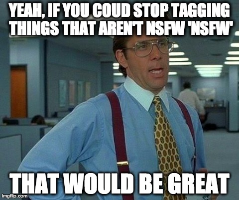 That Would Be Great | YEAH, IF YOU COUD STOP TAGGING THINGS THAT AREN'T NSFW 'NSFW' THAT WOULD BE GREAT | image tagged in memes,that would be great,AdviceAnimals | made w/ Imgflip meme maker
