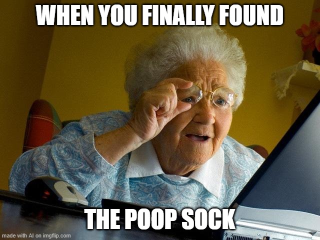 When someone asks why it was a poop sock | WHEN YOU FINALLY FOUND; THE POOP SOCK | image tagged in memes,grandma finds the internet | made w/ Imgflip meme maker
