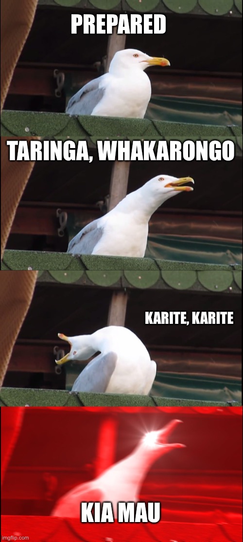 All blacks Haka inhaling seagull | PREPARED; TARINGA, WHAKARONGO; KARITE, KARITE; KIA MAU | image tagged in memes,inhaling seagull | made w/ Imgflip meme maker