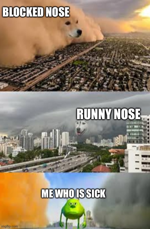 I am sick rn | BLOCKED NOSE; RUNNY NOSE; ME WHO IS SICK | image tagged in doge cloud vs husky cloud | made w/ Imgflip meme maker