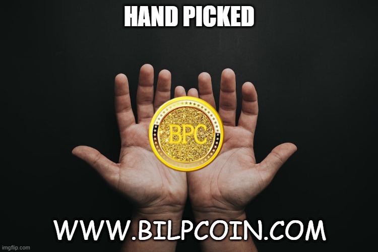 HAND PICKED; WWW.BILPCOIN.COM | made w/ Imgflip meme maker