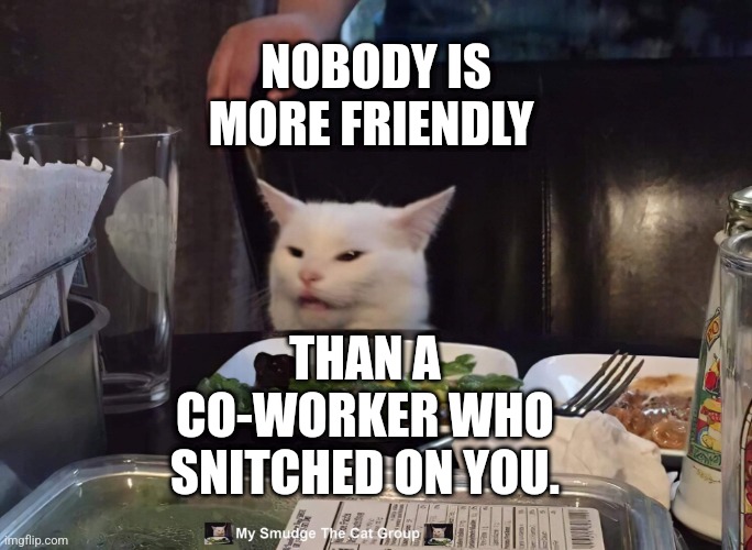 NOBODY IS MORE FRIENDLY; THAN A CO-WORKER WHO SNITCHED ON YOU. | image tagged in smudge the cat | made w/ Imgflip meme maker