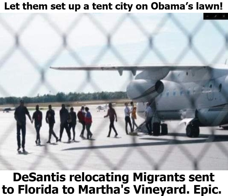 DeSantis Relocating Migrants Sent to Florida to Martha's Vineyard | image tagged in migrants,payback,paybacks are a beeotch,bitches be like,whiners,tent city | made w/ Imgflip meme maker