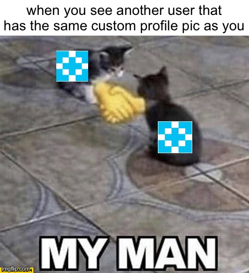 this actually happened to me | when you see another user that has the same custom profile pic as you | image tagged in cats shaking hands,ayy,memes,cats | made w/ Imgflip meme maker
