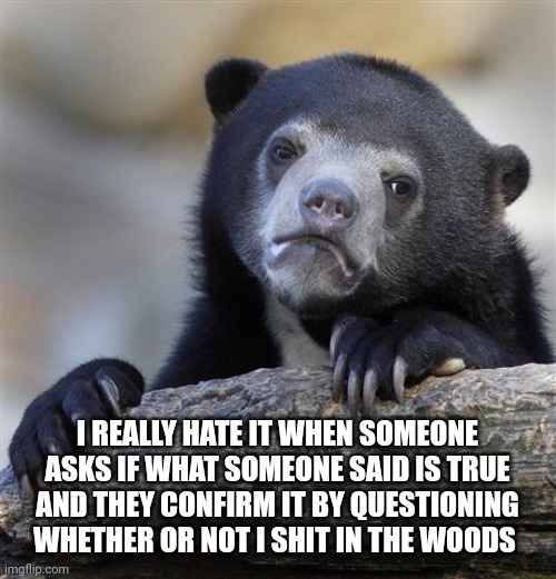 Confession Bear | I REALLY HATE IT WHEN SOMEONE ASKS IF WHAT SOMEONE SAID IS TRUE AND THEY CONFIRM IT BY QUESTIONING WHETHER OR NOT I SHIT IN THE WOODS | image tagged in memes,confession bear | made w/ Imgflip meme maker