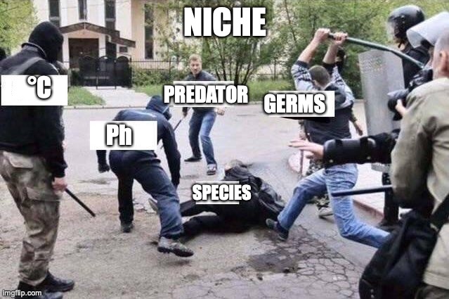 ecological niche | NICHE; PREDATOR; °C; GERMS; Ph; SPECIES | image tagged in group beating | made w/ Imgflip meme maker