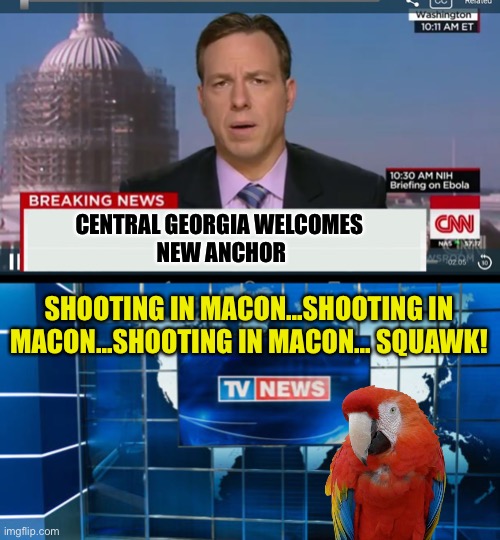 Too Many Shootings In Macon, GA | CENTRAL GEORGIA WELCOMES 
NEW ANCHOR; SHOOTING IN MACON...SHOOTING IN MACON...SHOOTING IN MACON... SQUAWK! | image tagged in cnn breaking news template,shootings,macon,central georgia | made w/ Imgflip meme maker