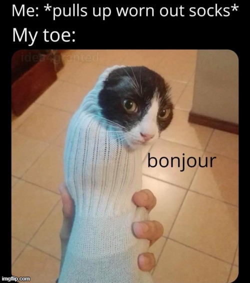 image tagged in repost,funny,bonjour | made w/ Imgflip meme maker