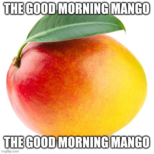 The good morning mango | THE GOOD MORNING MANGO; THE GOOD MORNING MANGO | image tagged in mango | made w/ Imgflip meme maker