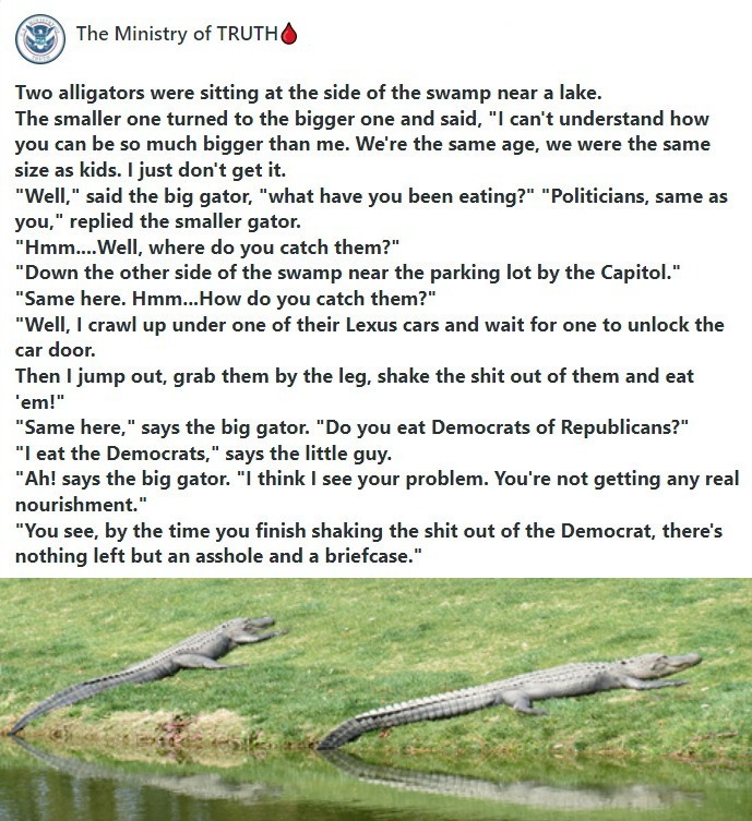 Alligators, Politicians, & Draining the Swamp | image tagged in alligators,drain the swamp,assholes,briefcases,democrats,shitpost | made w/ Imgflip meme maker