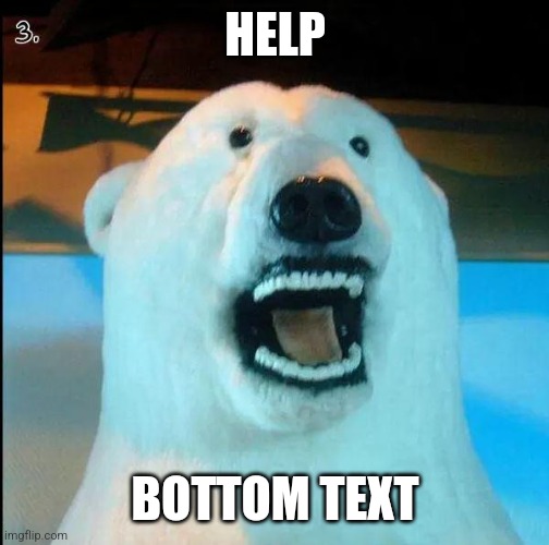 Horrified Polar Bear | HELP BOTTOM TEXT | image tagged in horrified polar bear | made w/ Imgflip meme maker