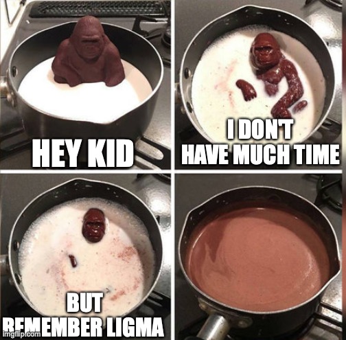 Hey Kid, I don't have much time |  HEY KID; I DON'T HAVE MUCH TIME; BUT REMEMBER LIGMA | image tagged in hey kid i don't have much time | made w/ Imgflip meme maker
