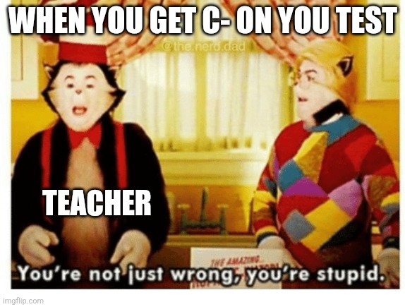 You're not just wrong your stupid | WHEN YOU GET C- ON YOU TEST; TEACHER | image tagged in you're not just wrong your stupid | made w/ Imgflip meme maker