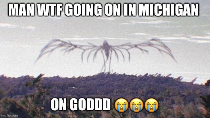 michigan ??? | MAN WTF GOING ON IN MICHIGAN; ON GODDD 😭😭😭 | image tagged in michigan sucks | made w/ Imgflip meme maker