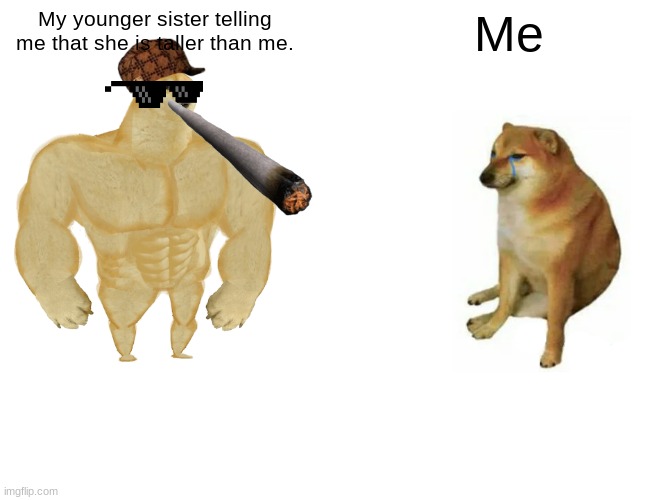 Buff Doge vs. Cheems | My younger sister telling me that she is taller than me. Me | image tagged in memes,buff doge vs cheems | made w/ Imgflip meme maker