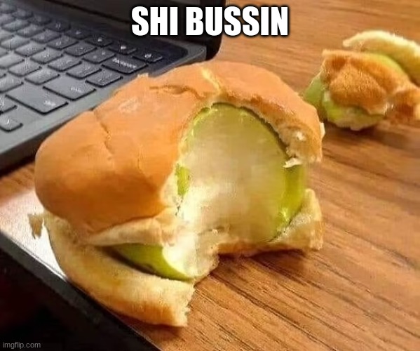 SHI BUSSIN | made w/ Imgflip meme maker