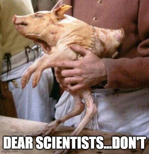 Pigicken | DEAR SCIENTISTS...DON'T | image tagged in unsee juice | made w/ Imgflip meme maker