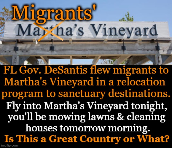 Migrants bused to sanctuary city Chicago were promptly shipped off to suburbs. Any bets on this one? | Migrants'; FL Gov. DeSantis flew migrants to
Martha's Vineyard in a relocation 
program to sanctuary destinations. Fly into Martha's Vineyard tonight, 

you'll be mowing lawns & cleaning 

houses tomorrow morning. Is This a Great Country or What? | image tagged in politics,illegal immigrants,migrants,martha's vineyard,meanwhile in florida,imgflip humor | made w/ Imgflip meme maker