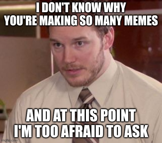 SO MANY MEMES |  I DON'T KNOW WHY YOU'RE MAKING SO MANY MEMES; AND AT THIS POINT I'M TOO AFRAID TO ASK | image tagged in andy dwyer | made w/ Imgflip meme maker