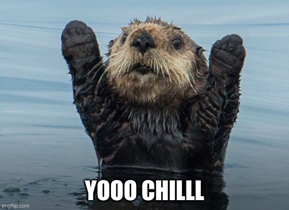 Hands up otter | YOOO CHILLL | image tagged in hands up otter | made w/ Imgflip meme maker