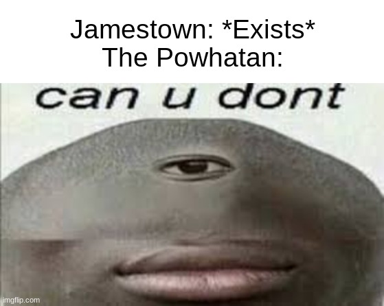 Jamestown: *Exists*
The Powhatan: | image tagged in blank white template,can you dont | made w/ Imgflip meme maker