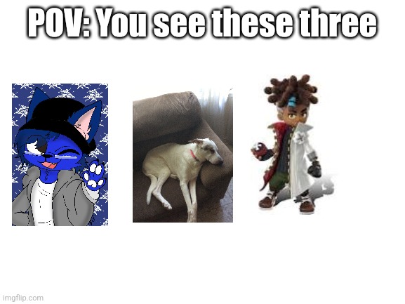 How many times have I used my doggo | POV: You see these three | image tagged in blank white template | made w/ Imgflip meme maker