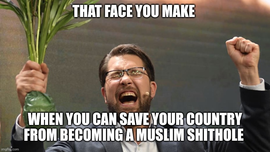 Sweden election 2022 | THAT FACE YOU MAKE; WHEN YOU CAN SAVE YOUR COUNTRY FROM BECOMING A MUSLIM SHITHOLE | image tagged in sweden,election,europe | made w/ Imgflip meme maker