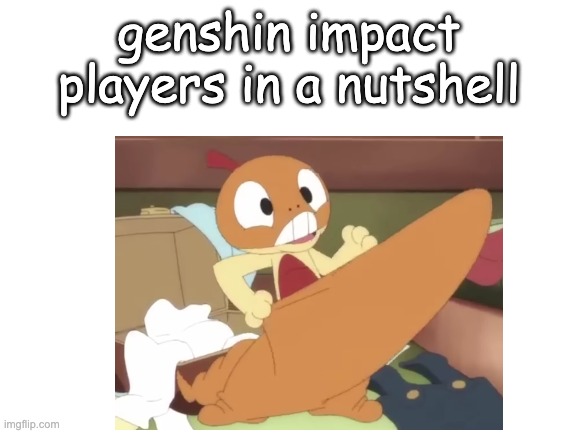 Genshin Impact Players in a Nutshell | genshin impact players in a nutshell | image tagged in genshin impact,slander,cringe,video games,pokemon | made w/ Imgflip meme maker