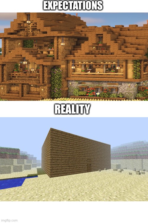 Blank White Template | EXPECTATIONS; REALITY | image tagged in blank white template,minecraft,i was not expecting that | made w/ Imgflip meme maker