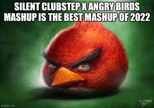 Realistic Angry Birds Meme Imgflip - vrogue.co