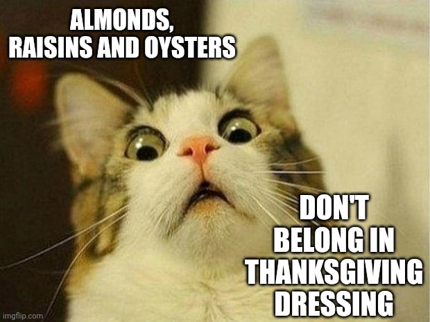 I Have Questions For People That Willingly Eat, Or Is It Drink (ewww) Oysters.  How Hungry Was The First Guy That Drank One? | ALMONDS, RAISINS AND OYSTERS; DON'T BELONG IN THANKSGIVING DRESSING | image tagged in memes,scared cat,oysters,ewwww,i can't drink snot,it's just wrong | made w/ Imgflip meme maker