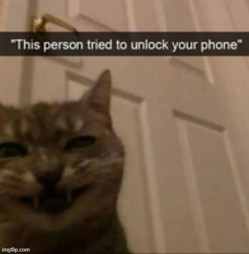 bread | made w/ Imgflip meme maker