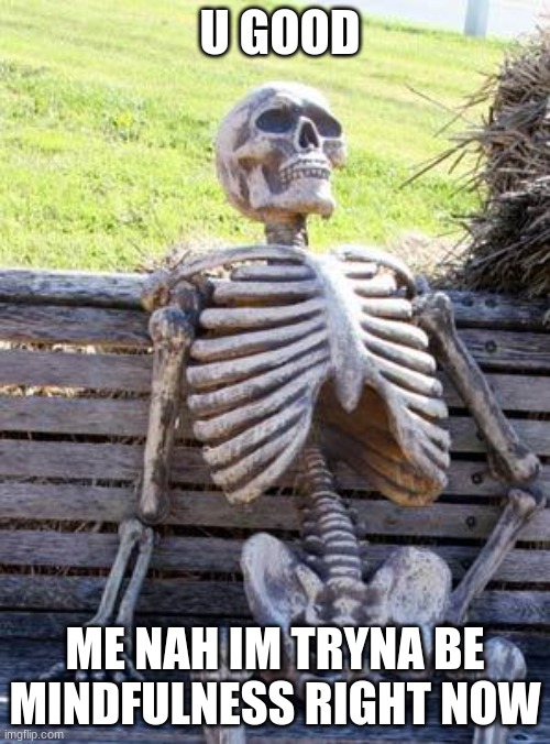 Waiting Skeleton | U GOOD; ME NAH IM TRYNA BE MINDFULNESS RIGHT NOW | image tagged in memes,waiting skeleton | made w/ Imgflip meme maker
