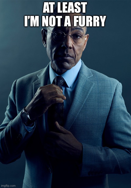 Gus Fring we are not the same | AT LEAST I’M NOT A FURRY | image tagged in gus fring we are not the same | made w/ Imgflip meme maker