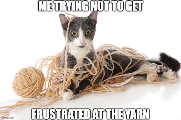 ME TRYING NOT TO GET; FRUSTRATED AT THE YARN | image tagged in cat | made w/ Imgflip meme maker