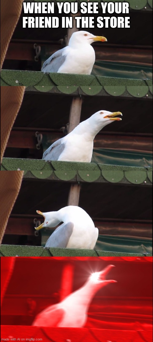 omg so true | WHEN YOU SEE YOUR FRIEND IN THE STORE | image tagged in memes,inhaling seagull | made w/ Imgflip meme maker