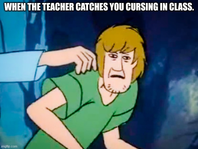 you have died. |  WHEN THE TEACHER CATCHES YOU CURSING IN CLASS. | image tagged in shaggy meme,you have been eternally cursed for reading the tags | made w/ Imgflip meme maker