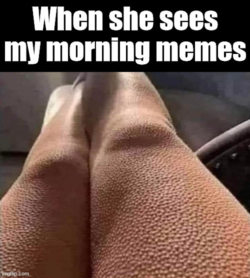 When she sees my morning memes | image tagged in who_am_i | made w/ Imgflip meme maker