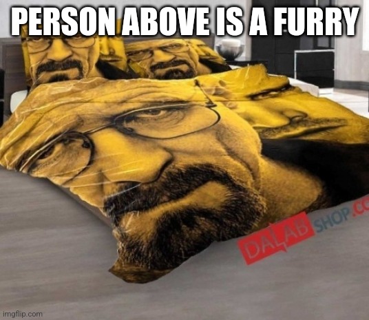 Breaking Bed | PERSON ABOVE IS A FURRY | image tagged in breaking bed | made w/ Imgflip meme maker