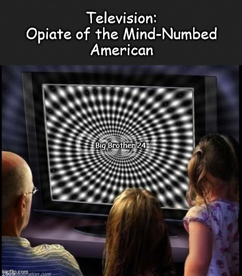 Brain-Dead Americans Walking | Television:
Opiate of the Mind-Numbed
American; Big Brother 24 | image tagged in memes,dark | made w/ Imgflip meme maker