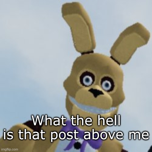 I wonder what it could be | What the hell is that post above me | made w/ Imgflip meme maker
