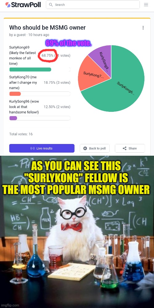 Math solves our problems | 69% of the vote. AS YOU CAN SEE THIS "SURLYKONG" FELLOW IS THE MOST POPULAR MSMG OWNER | image tagged in memes,chemistry cat,math,political,polls | made w/ Imgflip meme maker