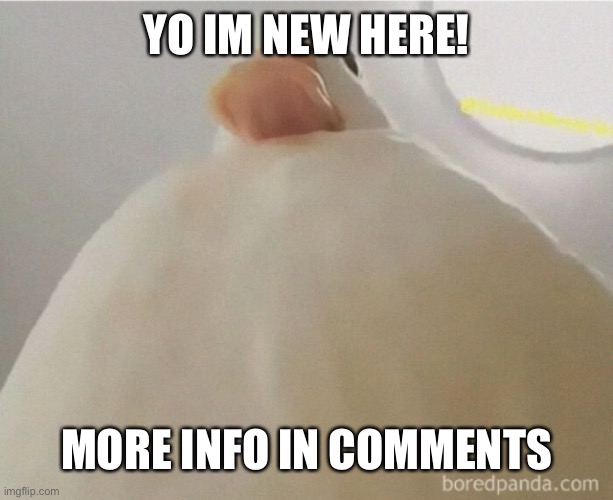 v                         bb | YO IM NEW HERE! MORE INFO IN COMMENTS | image tagged in sus | made w/ Imgflip meme maker
