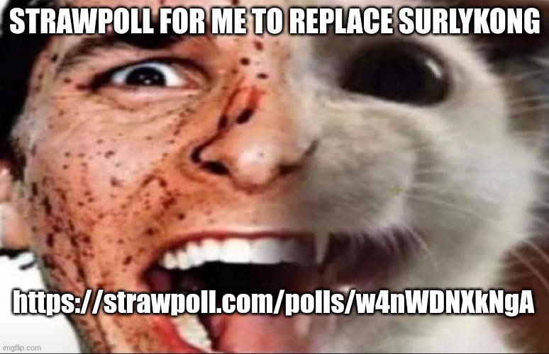 https://strawpoll.com/polls/w4nWDNXkNgA | STRAWPOLL FOR ME TO REPLACE SURLYKONG; https://strawpoll.com/polls/w4nWDNXkNgA | image tagged in american psycho cat | made w/ Imgflip meme maker