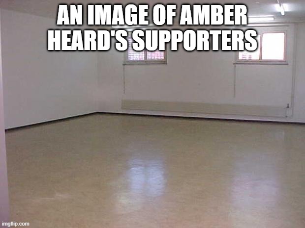 Empty Room | AN IMAGE OF AMBER HEARD'S SUPPORTERS | image tagged in empty room | made w/ Imgflip meme maker