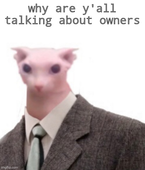 bingus | why are y'all talking about owners | image tagged in bingus | made w/ Imgflip meme maker